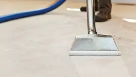 Carpet cleaning wand head gliding over a light carpet during hot-water extraction, Columbus, OH.
